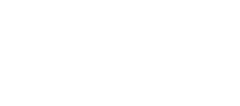 RINGANA Partner